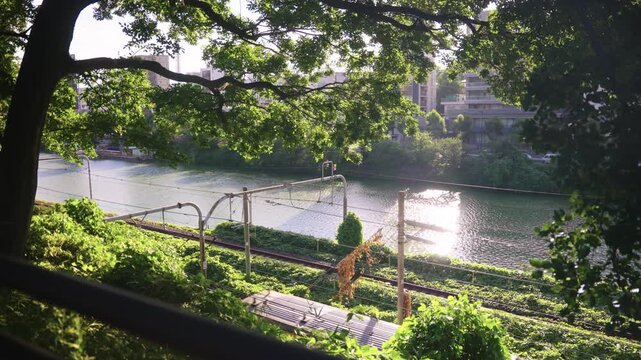 Warm Afternoon in Tokyo, Train Passing in the Background by River