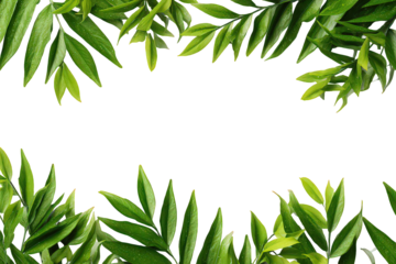 Green Glittering Leaves Frame on Black Background