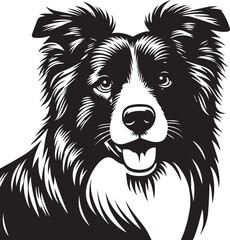 Border Collie Dog Vector Illustration, Black and White Silhouette, Pet Animal Design