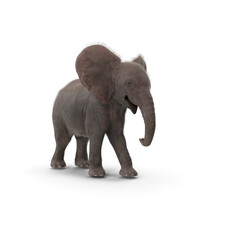 Obraz premium elephant isolated on white