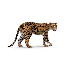 leopard in front of a tree