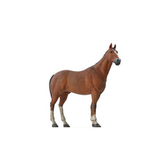 Obraz premium horse isolated on white