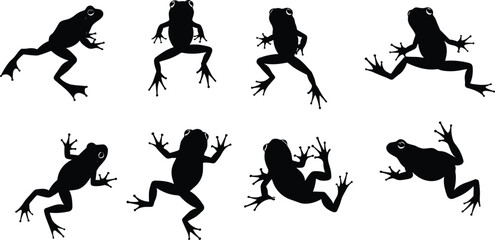 Frog silhouette vector illustration, jumping frog outline design, amphibian wildlife graphic, nature animal art, black frog shape, tropical rainforest concept