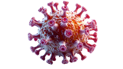 3D illustration of a coronavirus particle, showing its complex structure.
