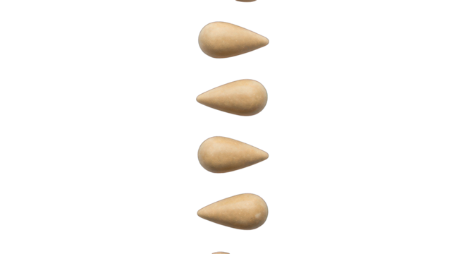Five light beige seed pods vertically aligned on black background