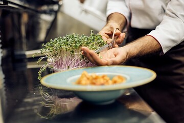 Chef Cutting Fresh Microgreens to Garnish a Plate of Delicious Cuisine in Kitchen