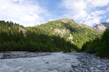 Morteratsch Valley in Eastern Switzerland. Turbulent mountain river in a valley with green pine forests and rocky slopes under a cloudy sky. Alpine landscape with a fast-flowing stream.