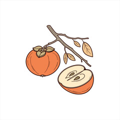 Illustration of a whole persimmon and a halved persimmon on a branch with leaves