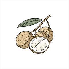 Soursop fruit illustration with leaf on branch