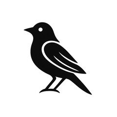 Obraz premium Black Bird Silhouette Icon Set - Transparent PNG Vector Graphics for Nature, Wildlife, and Logo Design
