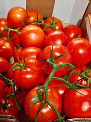 Background of healthy food. Organic food. A bunch of red tomatoes. 
