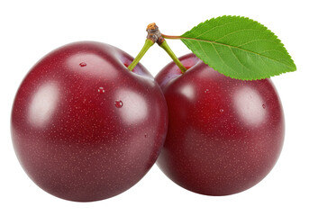 Isolated two ripe plums with stem and leaf, tasty summer fruit, healthy and delicious
