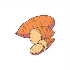 Sweet potato illustration whole and sliced