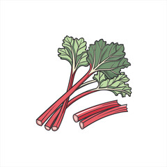 Fresh rhubarb stalks with green leaves isolated on white background