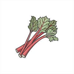 Illustration of fresh red rhubarb stalks with green leaves