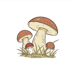 Illustration of a cluster of brown and cream colored mushrooms growing in grass
