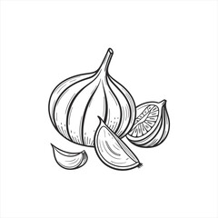 Hand drawn illustration of a garlic bulb with cloves and slices