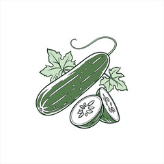 Fresh green cucumber with leaves and slices on white background