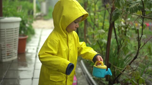 small child in yellow raincoat with hood stands in
