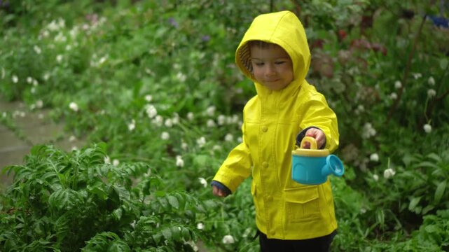 small child in yellow raincoat with hood stands
