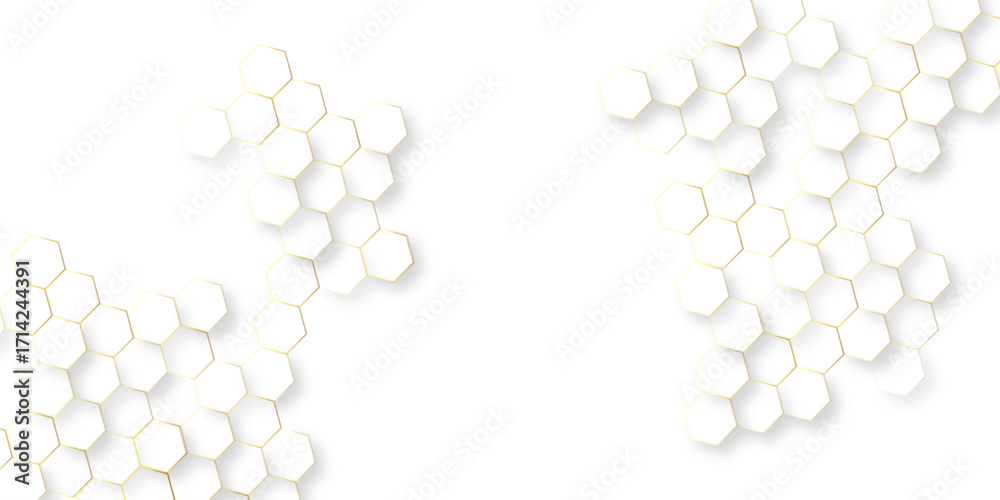 Canvas Prints abstract modern vector polygonal pattern, abstract white hexagon concept background soft white backg