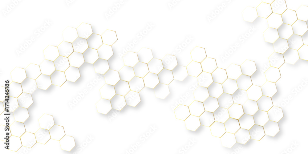 Canvas Prints abstract modern vector polygonal pattern, abstract white hexagon concept background soft white backg