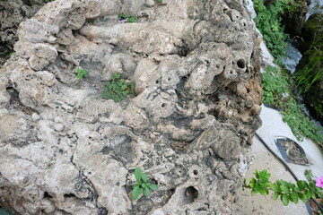 Eternal Whispers of the Ancient Stone — A Monument of Nature’s Silence, Strength, and Timeless Patterns Carved by Earth, Sky, and Memory.
