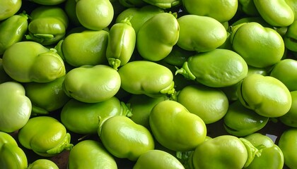 Close-up of fresh green broad beans