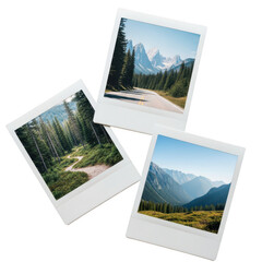Three polaroids of nature scenes on transparent background