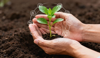 Hands nurture a young plant in soil, surrounded by icons representing sustainable practices and environmental awareness.