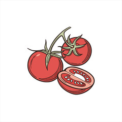 Hand drawn illustration of fresh red tomatoes on a vine with one tomato sliced in half