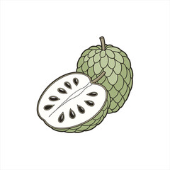 Illustration of a whole and a halved custard apple fruit