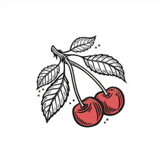 Stylized illustration of two red cherries with leaves on a white background