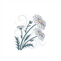 Delicate illustration of daisies with swirling decorative elements