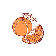 Hand drawn illustration of a whole orange with a slice and leaf