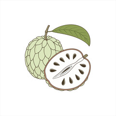 Illustration of a whole and halved custard apple with a leaf