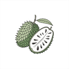 Illustration of a whole soursop fruit and a cut soursop fruit with seeds