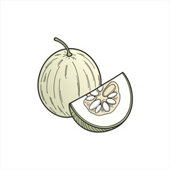 Illustration of a whole honeydew melon and a slice with seeds