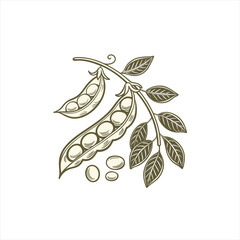 Illustration of fresh green peas on a vine with leaves