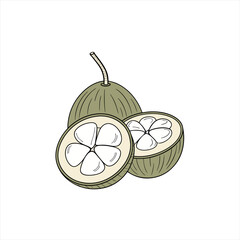 Illustration of a whole and halved mangosteen fruit with segments