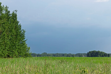 green field and blue sky