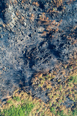 A vertical top down view of the border between a green and a burnt forest The Stark Dividing Line of Life and Death