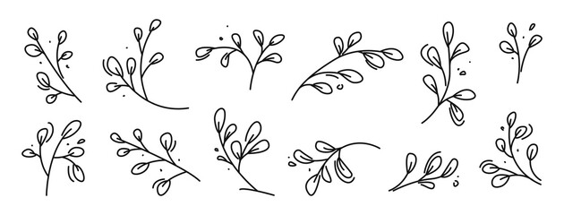 Linear Branch and Leaves. Floral Design Elements, hand drawn sketch for greeting cards, invitations, wedding, birthday. Vector with Editable stroke