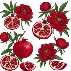 Pomegranate and Red Peony Flowers Vector Set. Botanical Illustration with Whole & Cut Fruits, Blooming Flowers, Buds, & Green Leaves.