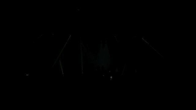 Night club electronic music party with colorful lights and silhouettes of dancing people. Dark venue illuminated by strobes creates vibrant nightlife atmosphere