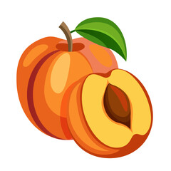 Whole and half peach with stem and leaf. Delicious fresh summer fruit for healthy eating and natural sweet snack.
