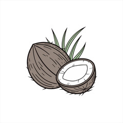 Illustration of a whole coconut and a halved coconut with green leaves