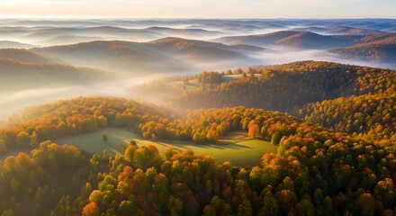 Misty Autumnal Hills - Golden Light Illuminating Forested Ridges at Sunrise.