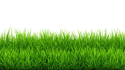 Vibrant green grass blades isolated on transparent background