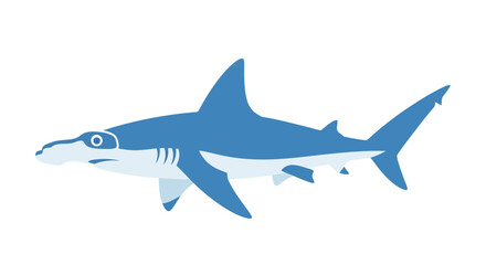 Obraz premium Adobe Illustrator Artwork